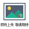 上海一恒真空干燥箱/烘箱/烤箱DZF-6050